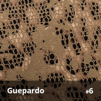 Guepardo 6